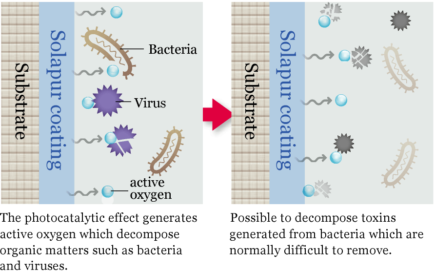 抗菌・抗ウイルス機能のイメージ図